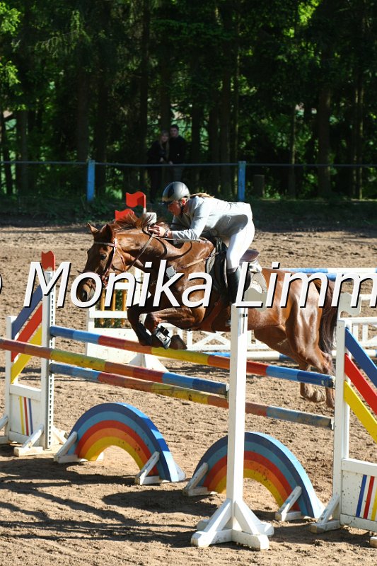 104M9112_Spring M_m.Stechen.JPG